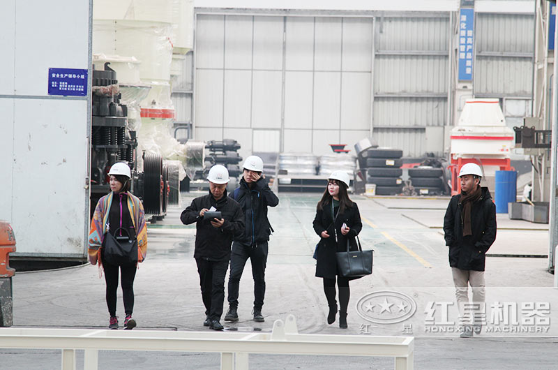 客戶到紅星廠區(qū)進(jìn)行參觀，并咨詢